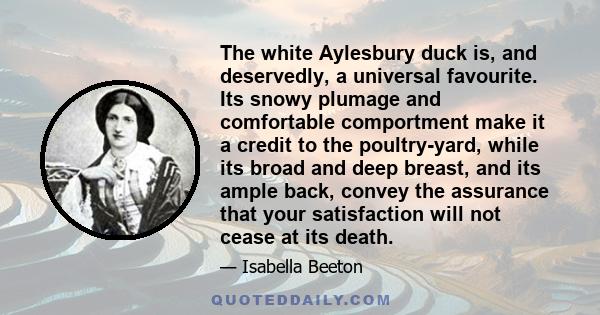 The white Aylesbury duck is, and deservedly, a universal favourite. Its snowy plumage and comfortable comportment make it a credit to the poultry-yard, while its broad and deep breast, and its ample back, convey the