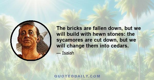 The bricks are fallen down, but we will build with hewn stones: the sycamores are cut down, but we will change them into cedars.