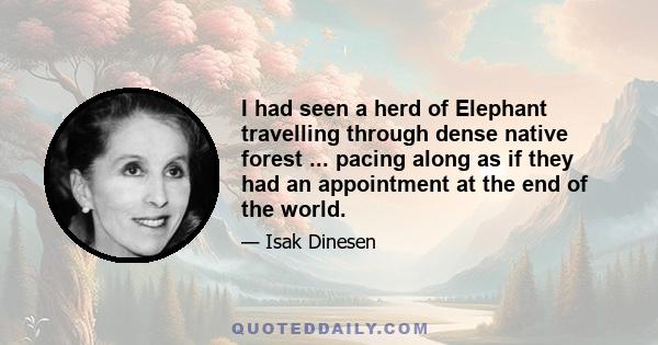 I had seen a herd of Elephant travelling through dense native forest ... pacing along as if they had an appointment at the end of the world.