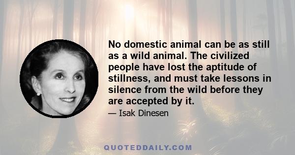 No domestic animal can be as still as a wild animal. The civilized people have lost the aptitude of stillness, and must take lessons in silence from the wild before they are accepted by it.