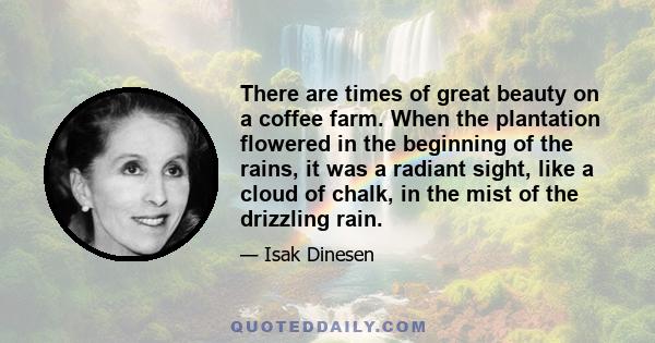 There are times of great beauty on a coffee farm. When the plantation flowered in the beginning of the rains, it was a radiant sight, like a cloud of chalk, in the mist of the drizzling rain.