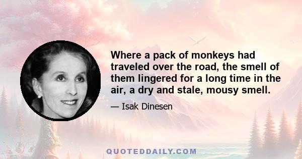 Where a pack of monkeys had traveled over the road, the smell of them lingered for a long time in the air, a dry and stale, mousy smell.