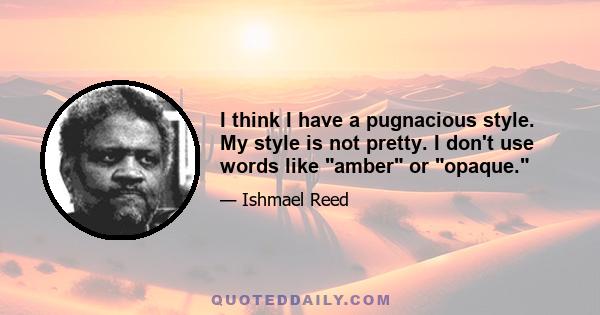 I think I have a pugnacious style. My style is not pretty. I don't use words like amber or opaque.