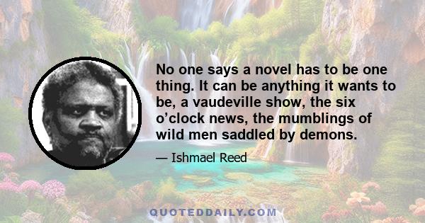 No one says a novel has to be one thing. It can be anything it wants to be, a vaudeville show, the six o’clock news, the mumblings of wild men saddled by demons.