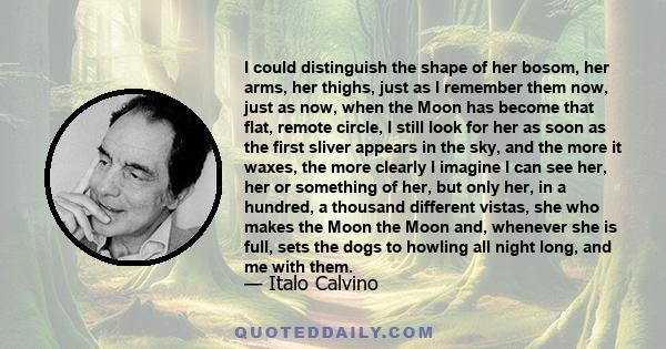 I could distinguish the shape of her bosom, her arms, her thighs, just as I remember them now, just as now, when the Moon has become that flat, remote circle, I still look for her as soon as the first sliver appears in