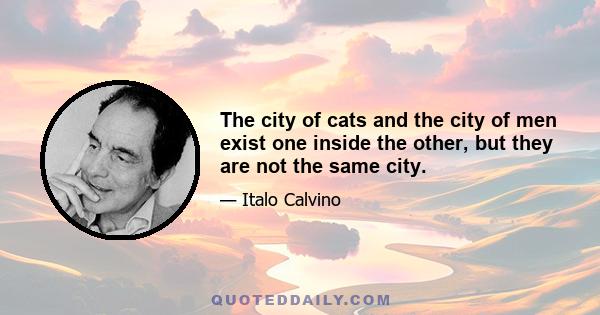 The city of cats and the city of men exist one inside the other, but they are not the same city.