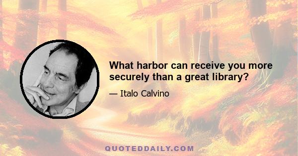 What harbor can receive you more securely than a great library?