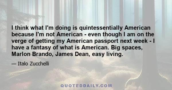 I think what I'm doing is quintessentially American because I'm not American - even though I am on the verge of getting my American passport next week - I have a fantasy of what is American. Big spaces, Marlon Brando,