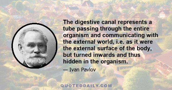 The digestive canal represents a tube passing through the entire organism and communicating with the external world, i.e. as it were the external surface of the body, but turned inwards and thus hidden in the organism.