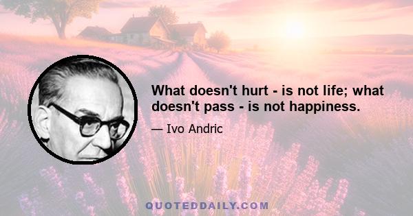 What doesn't hurt - is not life; what doesn't pass - is not happiness.