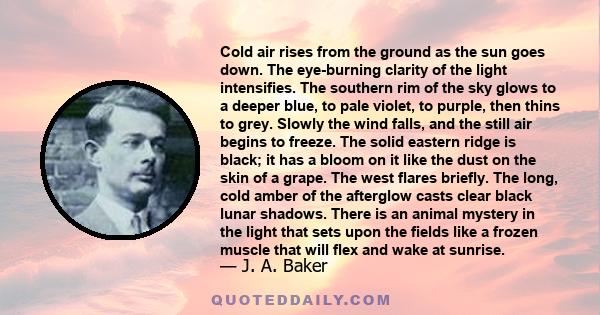 Cold air rises from the ground as the sun goes down. The eye-burning clarity of the light intensifies. The southern rim of the sky glows to a deeper blue, to pale violet, to purple, then thins to grey. Slowly the wind