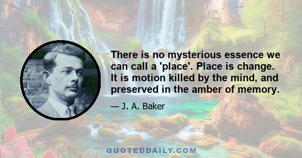 There is no mysterious essence we can call a 'place'. Place is change. It is motion killed by the mind, and preserved in the amber of memory.