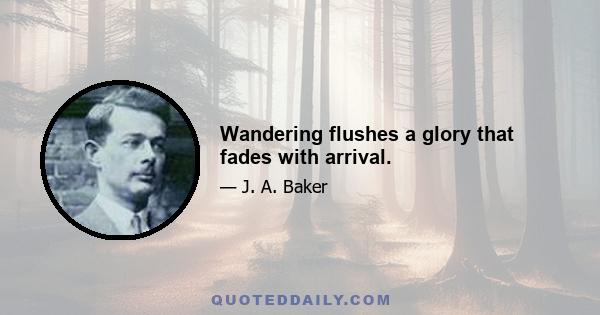 Wandering flushes a glory that fades with arrival.