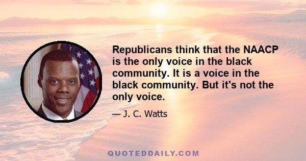 Republicans think that the NAACP is the only voice in the black community. It is a voice in the black community. But it's not the only voice.