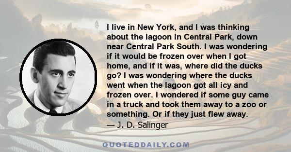 I live in New York, and I was thinking about the lagoon in Central Park, down near Central Park South. I was wondering if it would be frozen over when I got home, and if it was, where did the ducks go? I was wondering