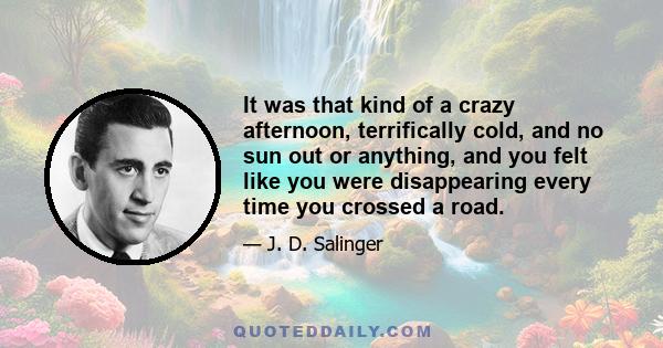 It was that kind of a crazy afternoon, terrifically cold, and no sun out or anything, and you felt like you were disappearing every time you crossed a road.