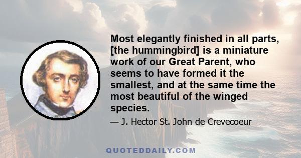 Most elegantly finished in all parts, [the hummingbird] is a miniature work of our Great Parent, who seems to have formed it the smallest, and at the same time the most beautiful of the winged species.