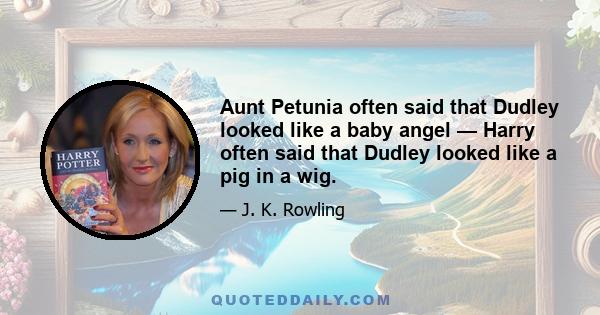 Aunt Petunia often said that Dudley looked like a baby angel — Harry often said that Dudley looked like a pig in a wig.