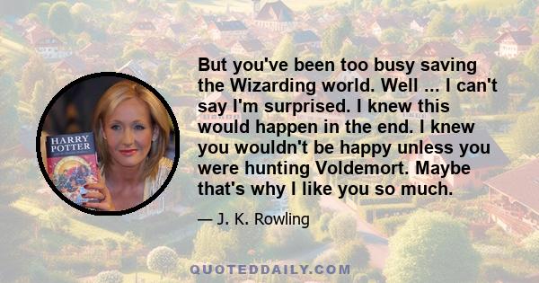 But you've been too busy saving the Wizarding world. Well ... I can't say I'm surprised. I knew this would happen in the end. I knew you wouldn't be happy unless you were hunting Voldemort. Maybe that's why I like you