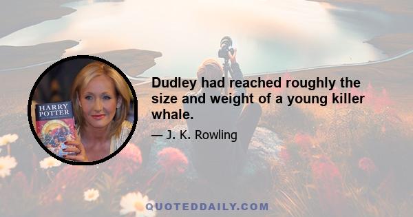 Dudley had reached roughly the size and weight of a young killer whale.