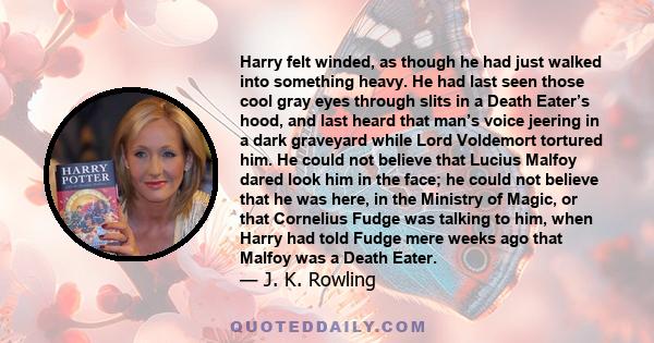 Harry felt winded, as though he had just walked into something heavy. He had last seen those cool gray eyes through slits in a Death Eater’s hood, and last heard that man’s voice jeering in a dark graveyard while Lord