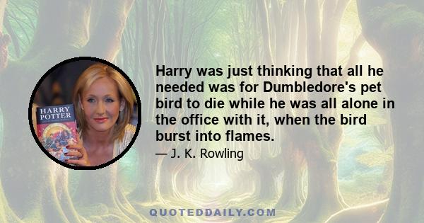 Harry was just thinking that all he needed was for Dumbledore's pet bird to die while he was all alone in the office with it, when the bird burst into flames.