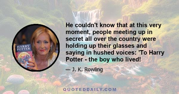 He couldn't know that at this very moment, people meeting up in secret all over the country were holding up their glasses and saying in hushed voices: 'To Harry Potter - the boy who lived!