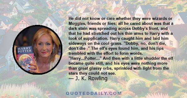 He did not know or care whether they were wizards or Muggles, friends or foes; all he cared about was that a dark stain was spreading across Dobby's front, and that he had stretched out his thin arms to Harry with a