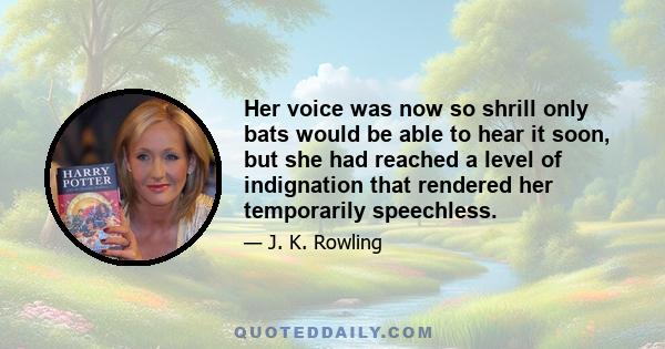 Her voice was now so shrill only bats would be able to hear it soon, but she had reached a level of indignation that rendered her temporarily speechless.