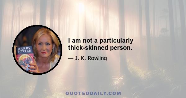 I am not a particularly thick-skinned person.