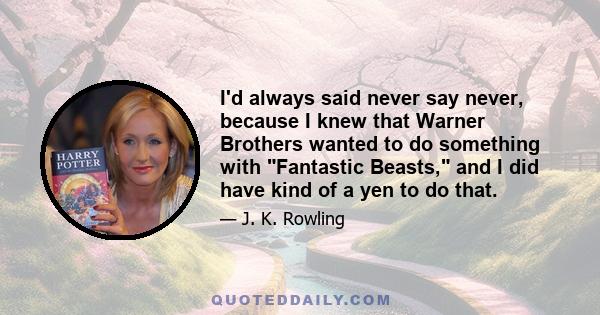 I'd always said never say never, because I knew that Warner Brothers wanted to do something with Fantastic Beasts, and I did have kind of a yen to do that.