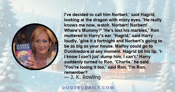 I've decided to call him Norbert,' said Hagrid, looking at the dragon with misty eyes. 'He really knows me now, watch. Norbert! Norbert! Where's Mummy?' 'He's lost his marbles,' Ron muttered in Harry's ear. 'Hagrid,'