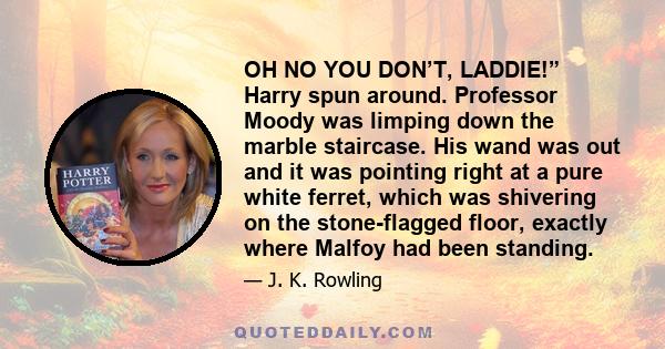 OH NO YOU DON’T, LADDIE!” Harry spun around. Professor Moody was limping down the marble staircase. His wand was out and it was pointing right at a pure white ferret, which was shivering on the stone-flagged floor,