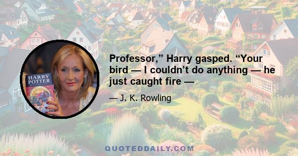 Professor,” Harry gasped. “Your bird — I couldn’t do anything — he just caught fire —