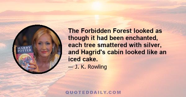 The Forbidden Forest looked as though it had been enchanted, each tree smattered with silver, and Hagrid's cabin looked like an iced cake.