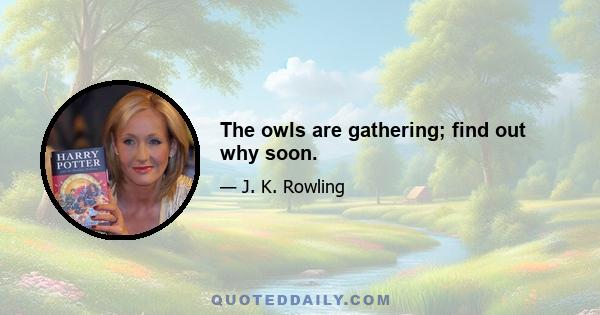 The owls are gathering; find out why soon.