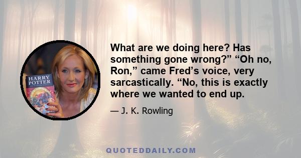 What are we doing here? Has something gone wrong?” “Oh no, Ron,” came Fred’s voice, very sarcastically. “No, this is exactly where we wanted to end up.