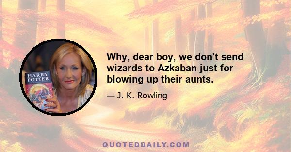 Why, dear boy, we don't send wizards to Azkaban just for blowing up their aunts.