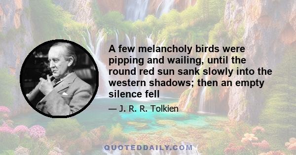 A few melancholy birds were pipping and wailing, until the round red sun sank slowly into the western shadows; then an empty silence fell