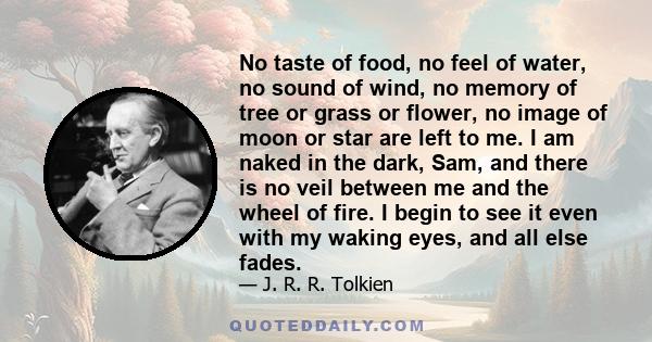 No taste of food, no feel of water, no sound of wind, no memory of tree or grass or flower, no image of moon or star are left to me. I am naked in the dark, Sam, and there is no veil between me and the wheel of fire. I