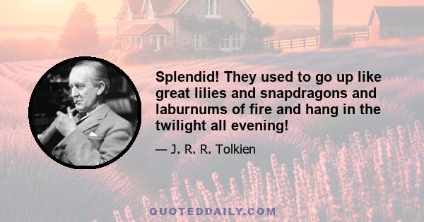 Splendid! They used to go up like great lilies and snapdragons and laburnums of fire and hang in the twilight all evening!