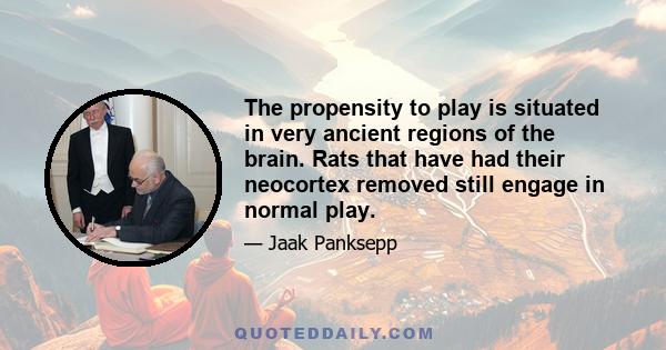 The propensity to play is situated in very ancient regions of the brain. Rats that have had their neocortex removed still engage in normal play.