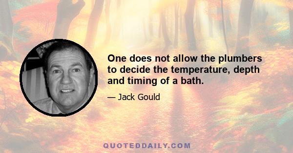 One does not allow the plumbers to decide the temperature, depth and timing of a bath.