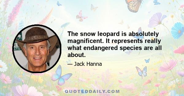 The snow leopard is absolutely magnificent. It represents really what endangered species are all about.