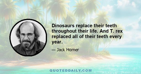 Dinosaurs replace their teeth throughout their life. And T. rex replaced all of their teeth every year.