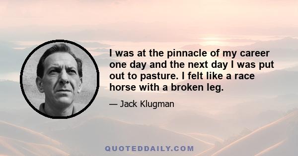 I was at the pinnacle of my career one day and the next day I was put out to pasture. I felt like a race horse with a broken leg.