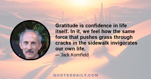 Gratitude is confidence in life itself. In it, we feel how the same force that pushes grass through cracks in the sidewalk invigorates our own life.