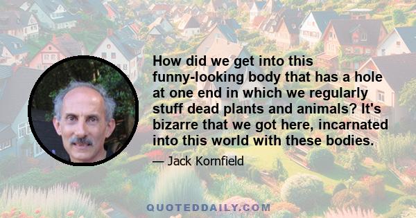 How did we get into this funny-looking body that has a hole at one end in which we regularly stuff dead plants and animals? It's bizarre that we got here, incarnated into this world with these bodies.