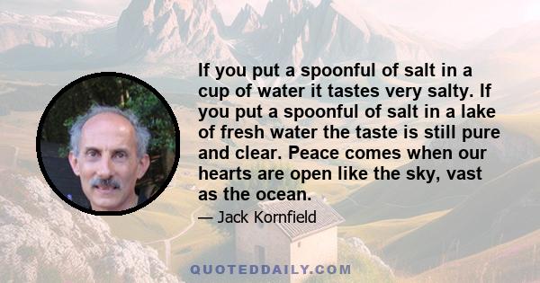 If you put a spoonful of salt in a cup of water it tastes very salty. If you put a spoonful of salt in a lake of fresh water the taste is still pure and clear. Peace comes when our hearts are open like the sky, vast as