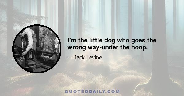 I'm the little dog who goes the wrong way-under the hoop.